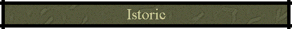 Istoric